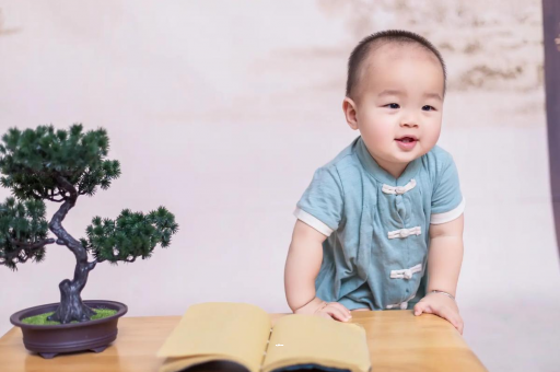敦煌可爱的企鹅宝宝